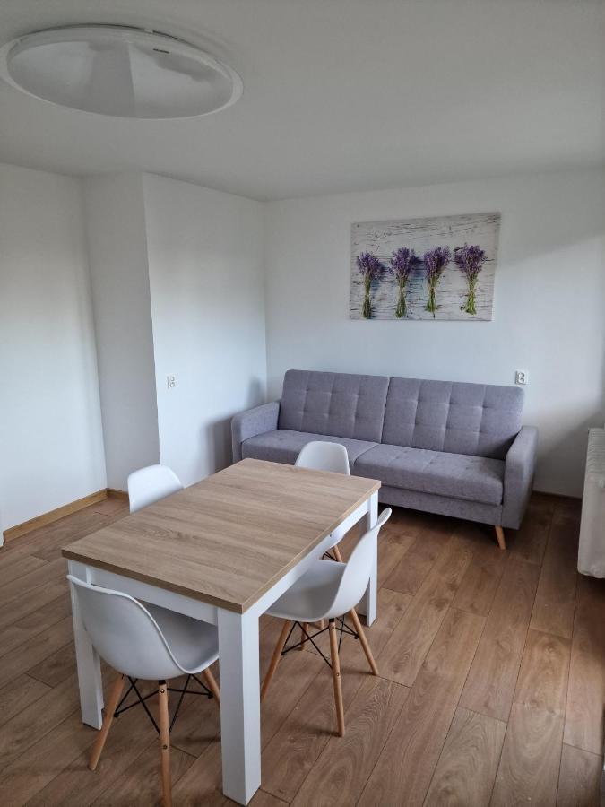 Apartament Lawendowy 格但斯克 外观 照片